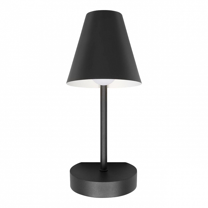 Светильник LOFT IT 10216/1W Black