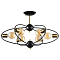 Люстра ARTE LAMP A1963PL-6BK