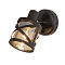 Спот Citilux CL536615